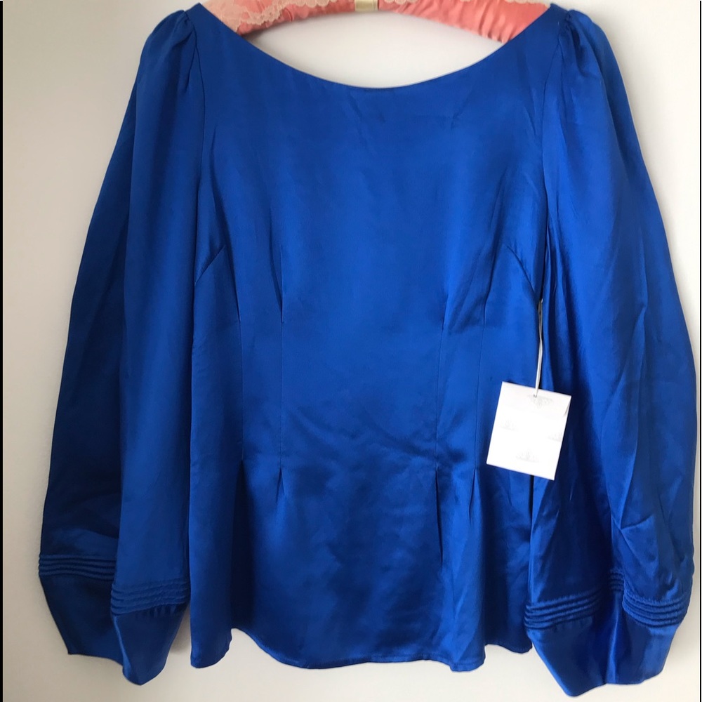 Royal Blue Satin Blouse.